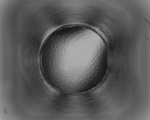 X0000091340951200708241220