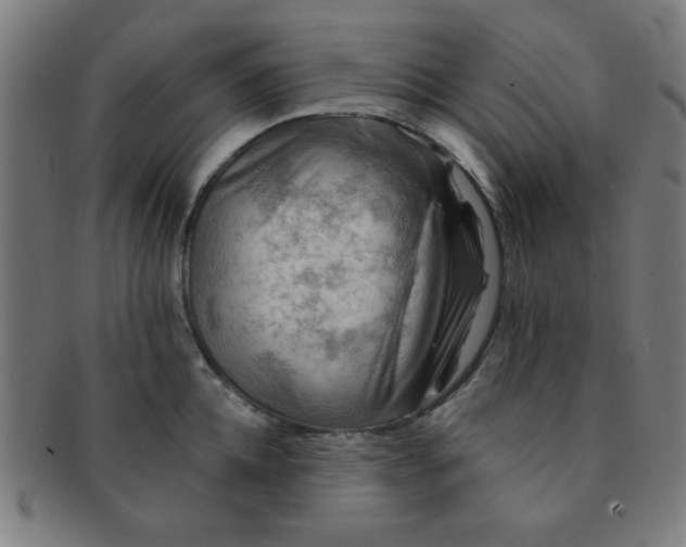 X0000091340952200708241220