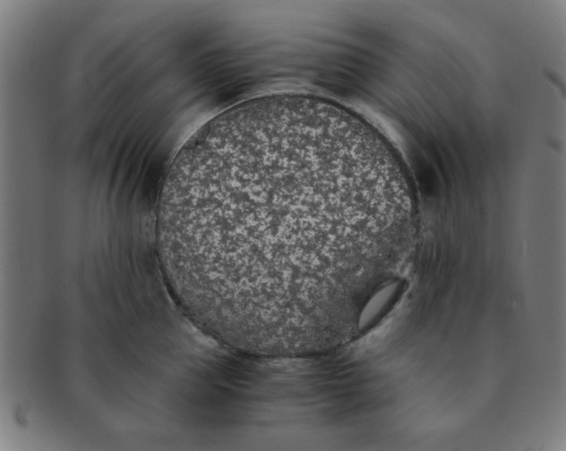 X0000091340953200708241220