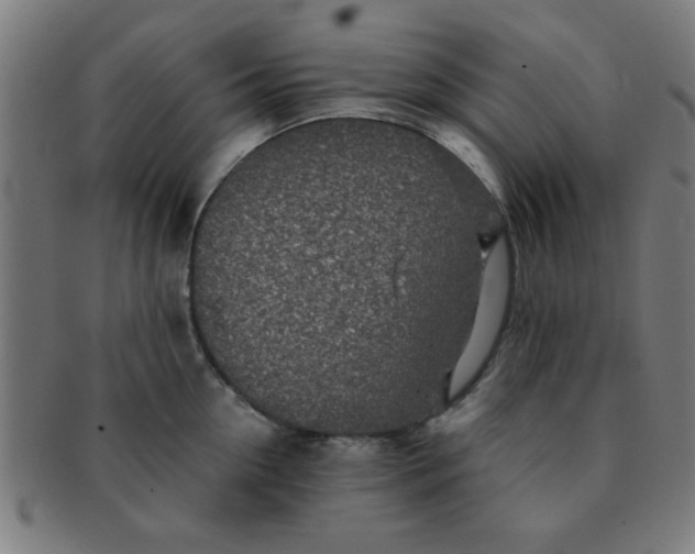 X0000091340954200708241220