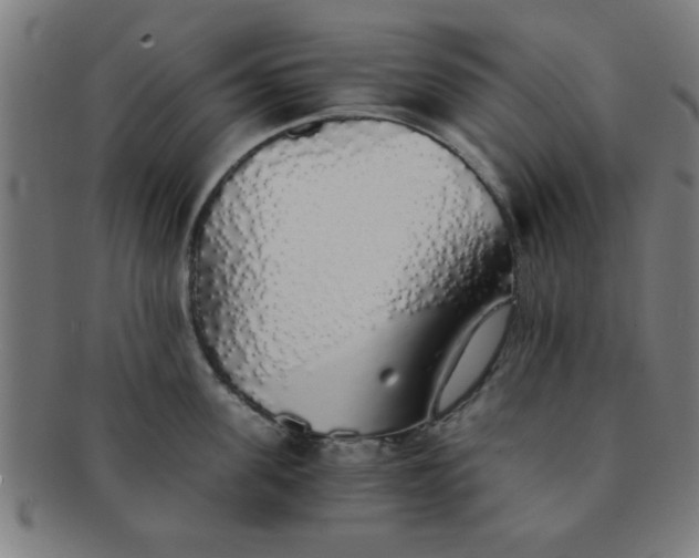 X0000091340955200708241220