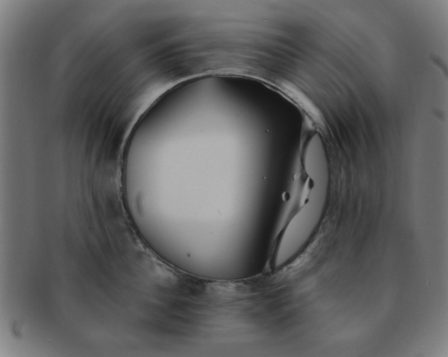 X0000091340956200708241220