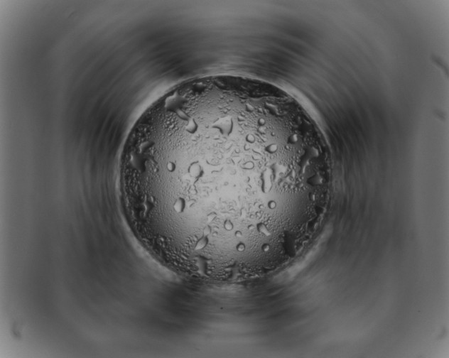 X0000091340957200708241220