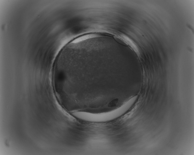 X0000091340958200708241220