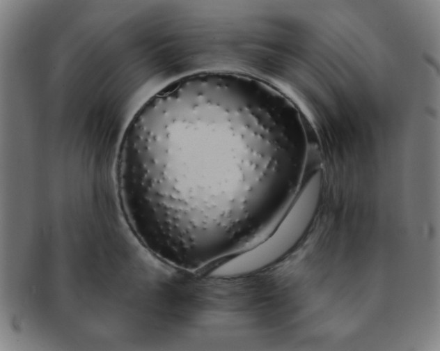 X0000091340959200708241220