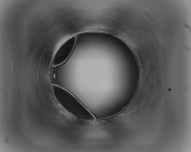 X0000091340960200708241220