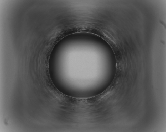 X0000091340961200708241219