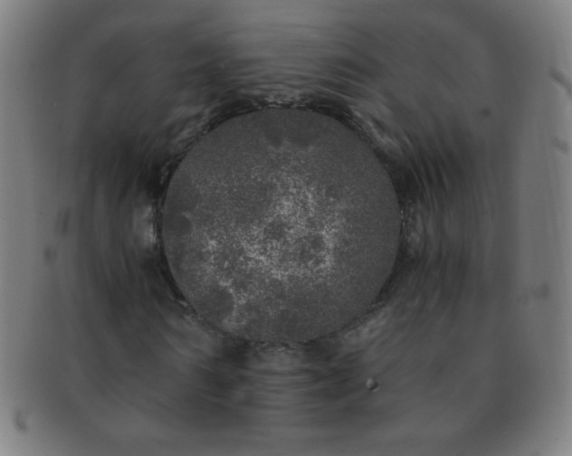 X0000091340962200708241219