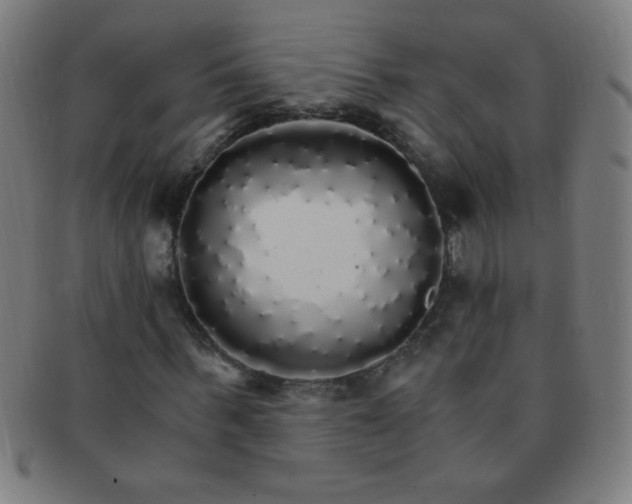 X0000091340963200708241219