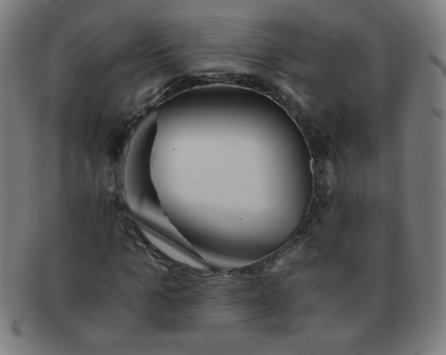 X0000091340965200708241219