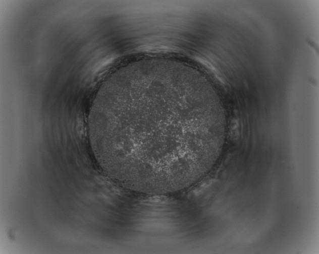 X0000091340966200708241219