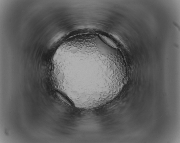 X0000091340967200708241219