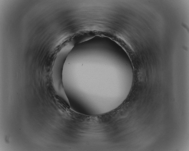 X0000091340968200708241219