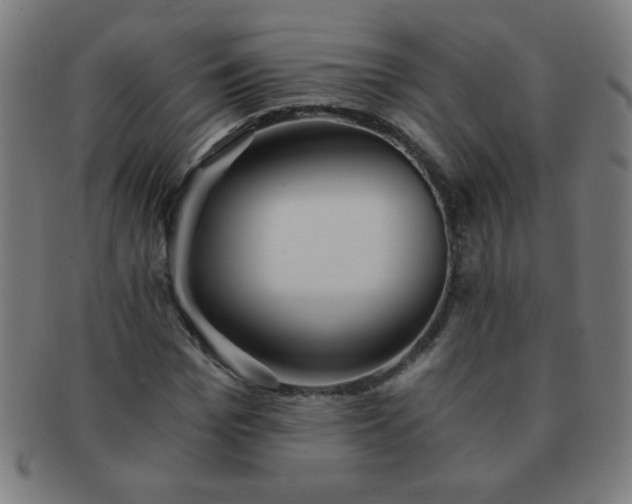 X0000091340969200708241219