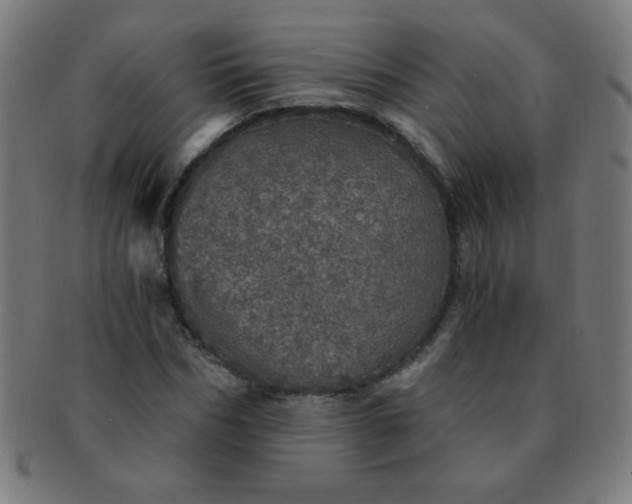 X0000091340970200708241219