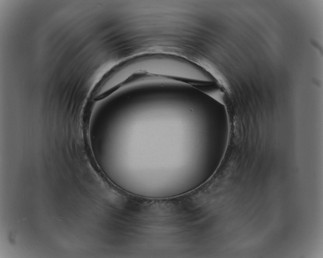 X0000091340972200708241219