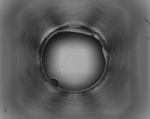 X0000091340973200708241219