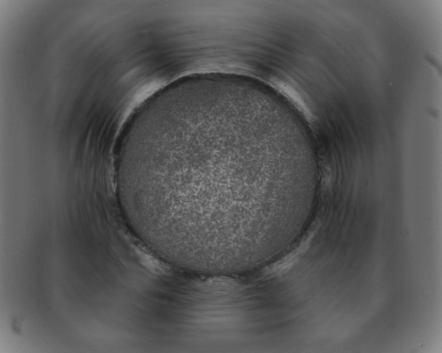 X0000091340974200708241219