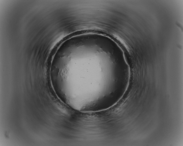 X0000091340975200708241219