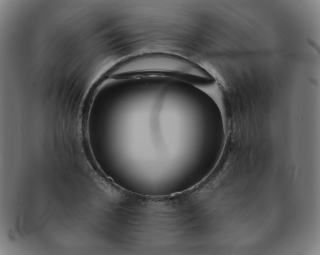 X0000091340976200708241219