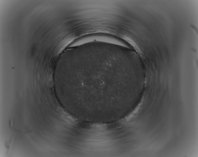 X0000091340977200708241219