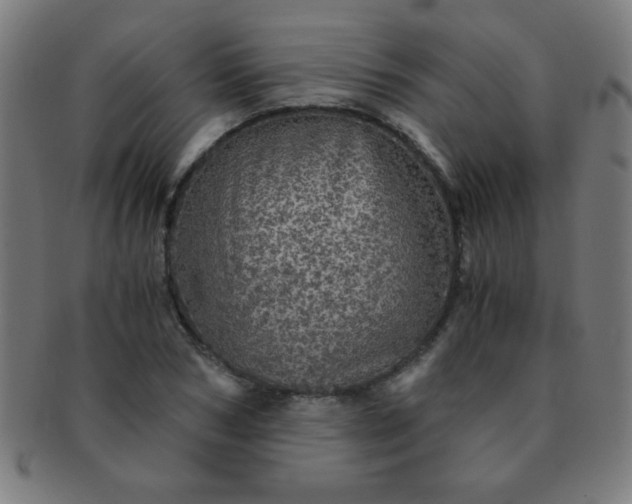 X0000091340978200708241219