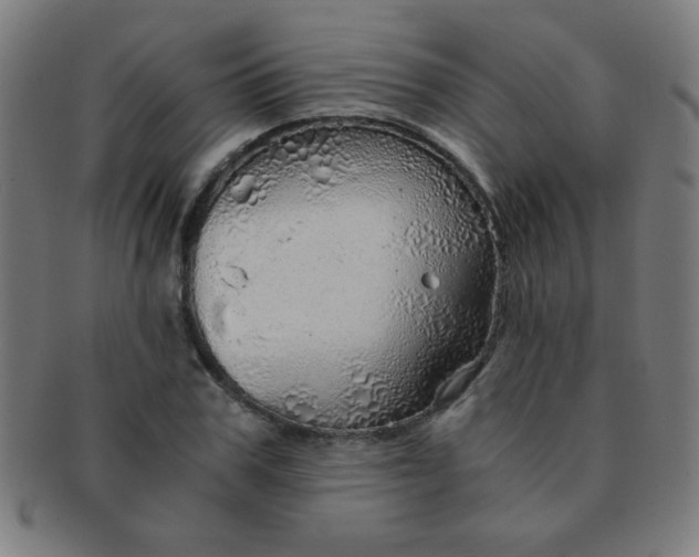 X0000091340979200708241219