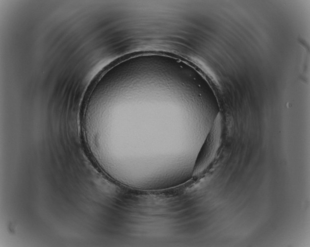 X0000091340980200708241219