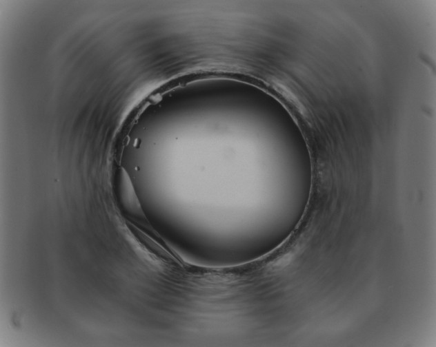 X0000091340981200708241219