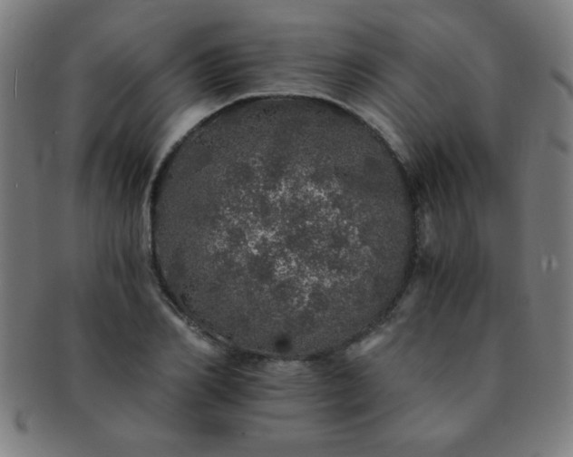 X0000091340982200708241219