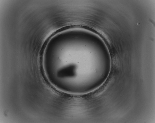 X0000091340983200708241219