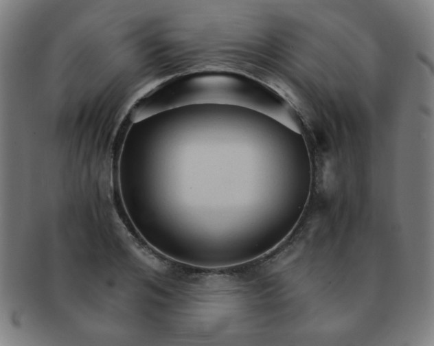 X0000091340984200708241219