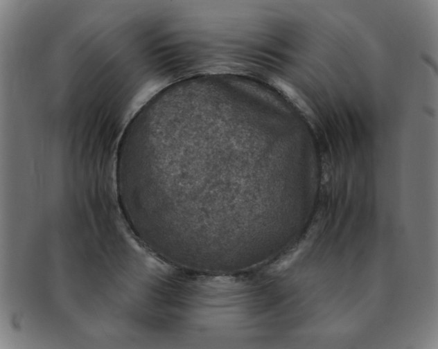 X0000091340986200708241219