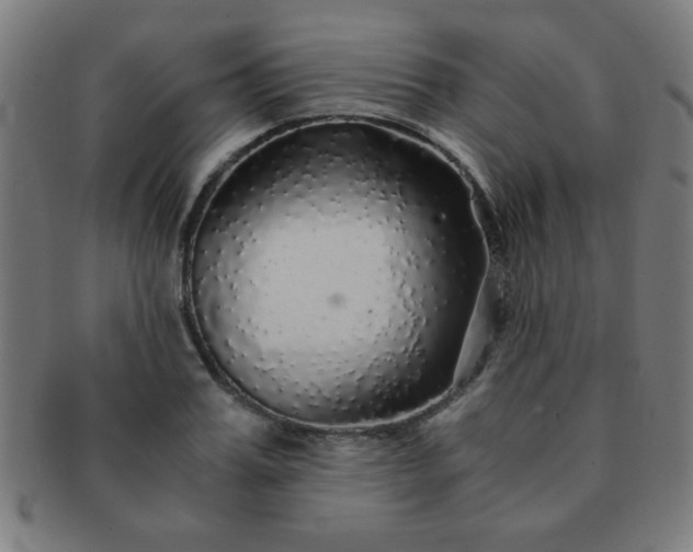 X0000091340987200708241219