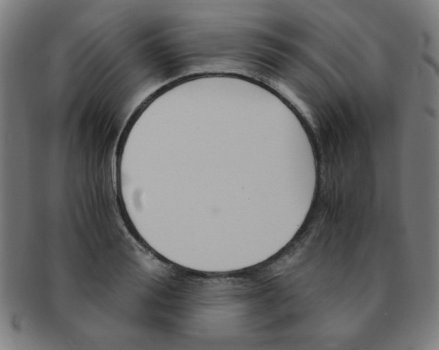 X0000091340988200708241219