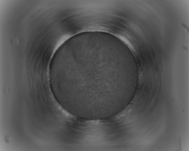 X0000091340990200708241219