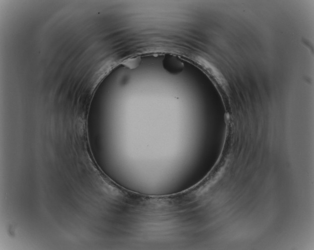 X0000091340993200708241219