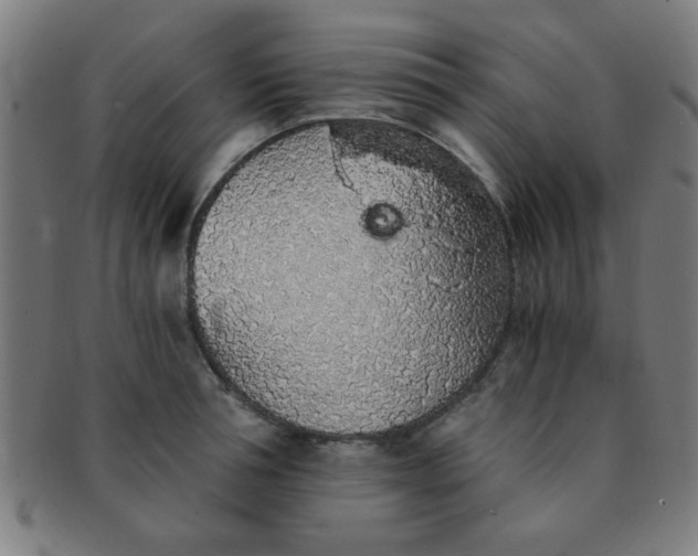 X0000091340994200708241219