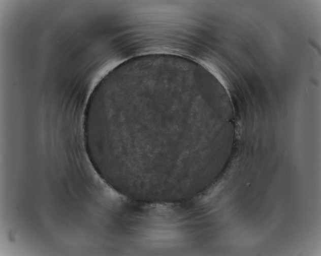 X0000091340995200708241219