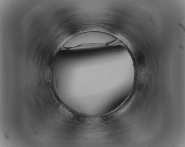 X0000091341001200708241219