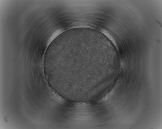 X0000091341002200708241219