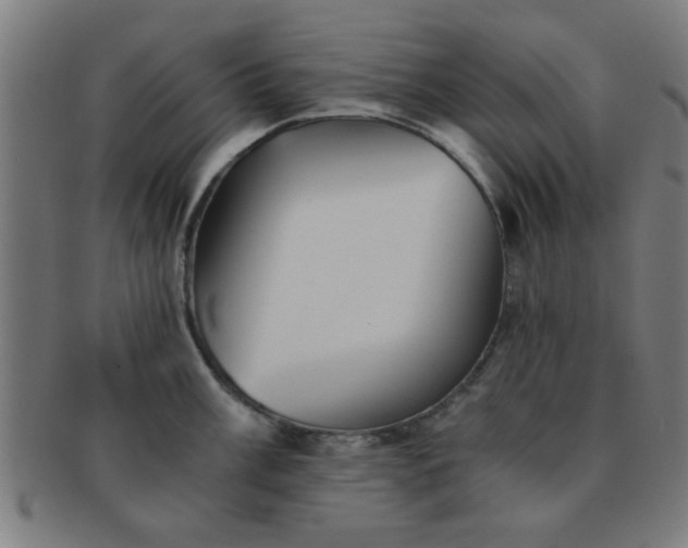 X0000091341003200708241219