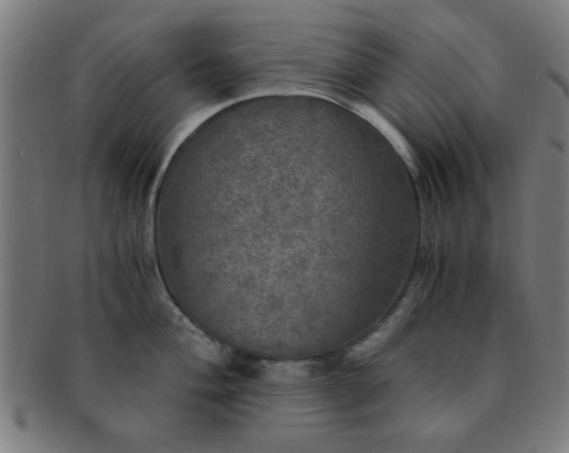 X0000091341004200708241219