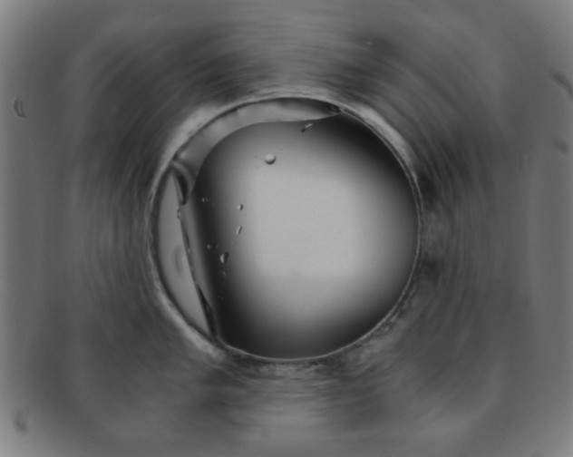 X0000091341005200708241219