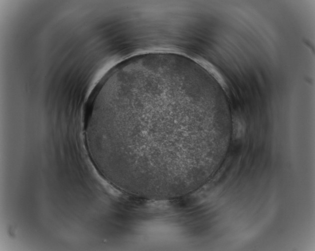 X0000091341006200708241219