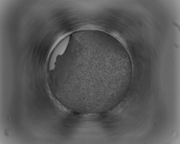 X0000091341008200708241219