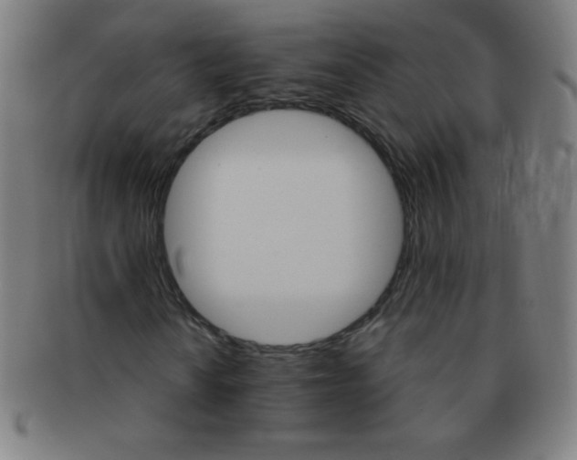 X0000091341010200708241218