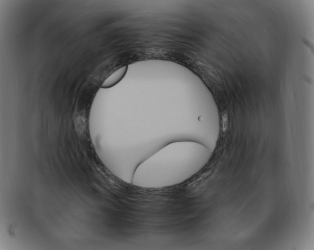 X0000091341011200708241218