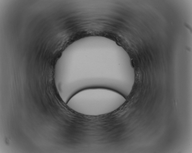 X0000091341012200708241218