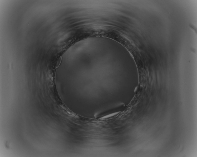 X0000091341013200708241218